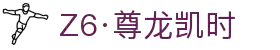 Z6·尊龙凯时「中国」官方网站